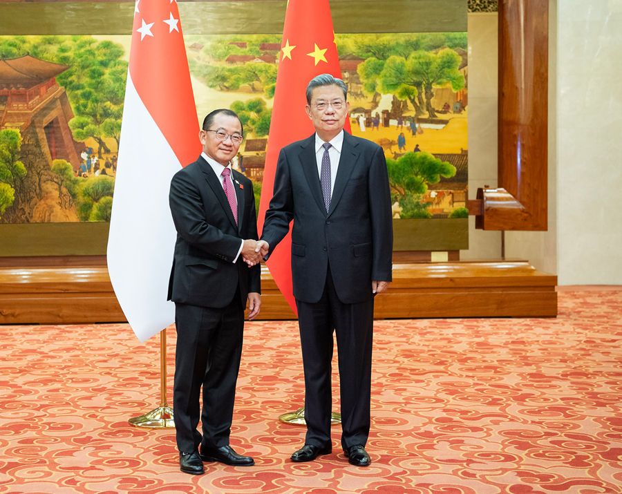 赵乐际同新加坡国会议长谢健平会谈.jpg