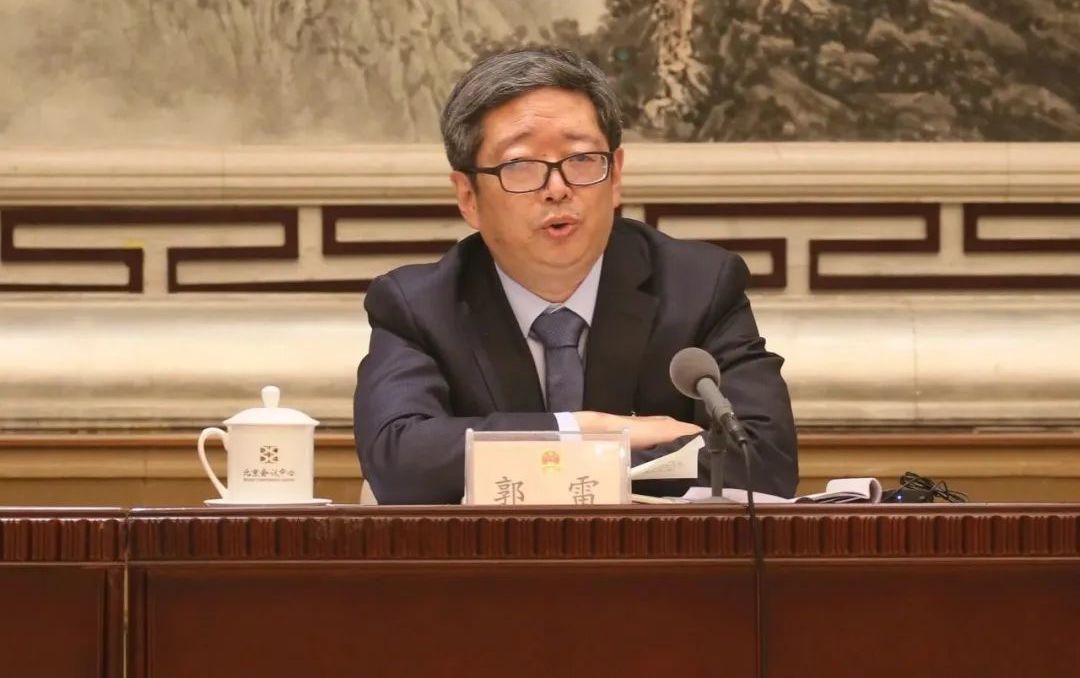 北京团代表郭雷