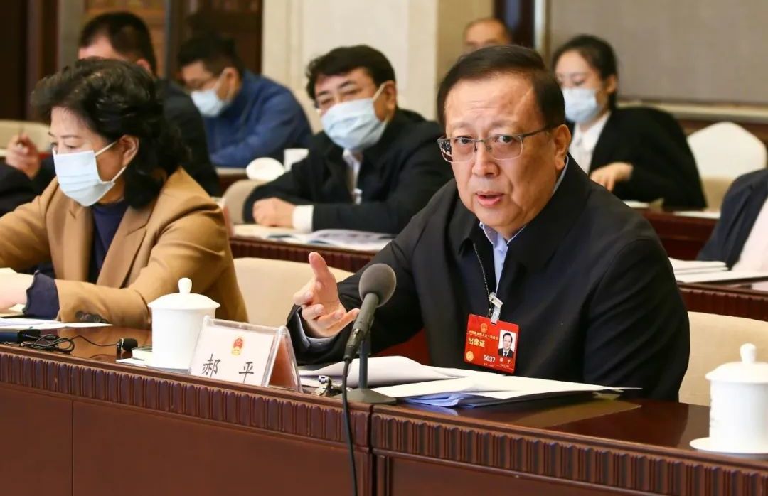 北京团代表郝平