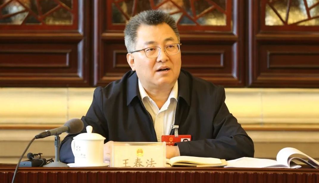 北京团代表王春法