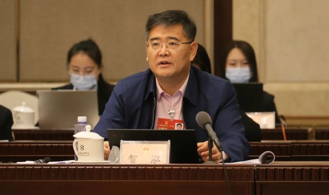 北京团代表贺泓