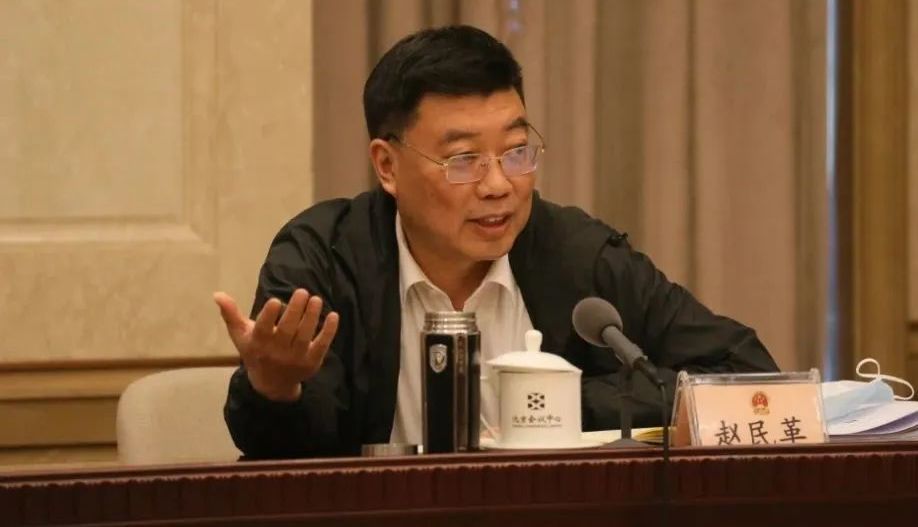 北京团代表赵民革