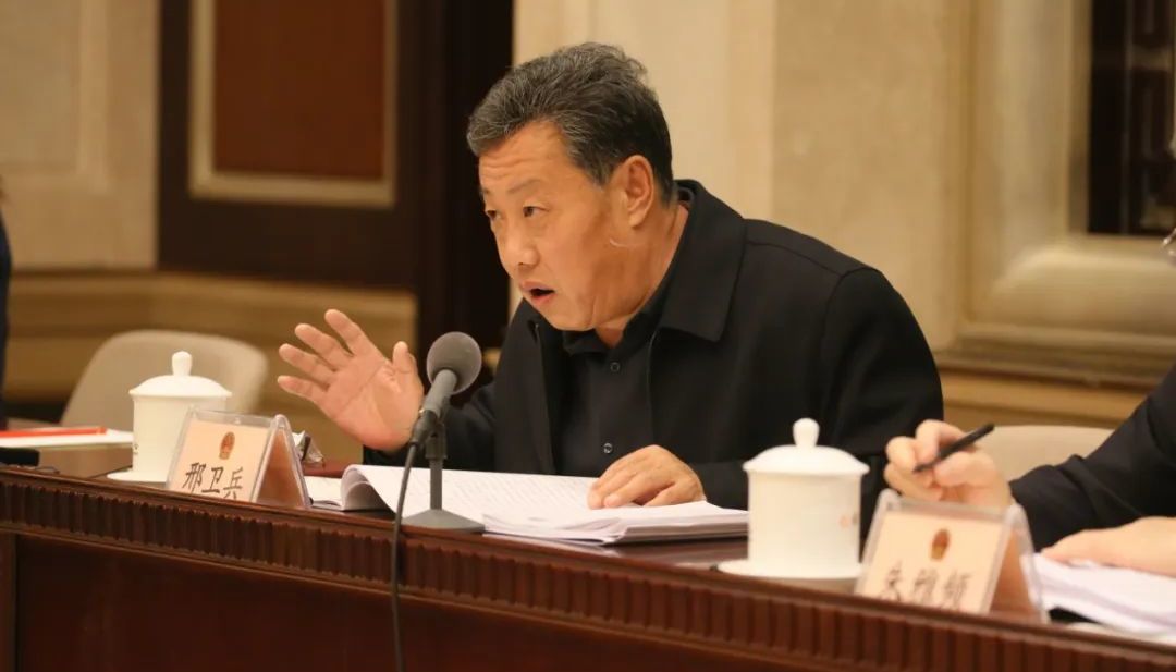 北京团代表邢卫兵