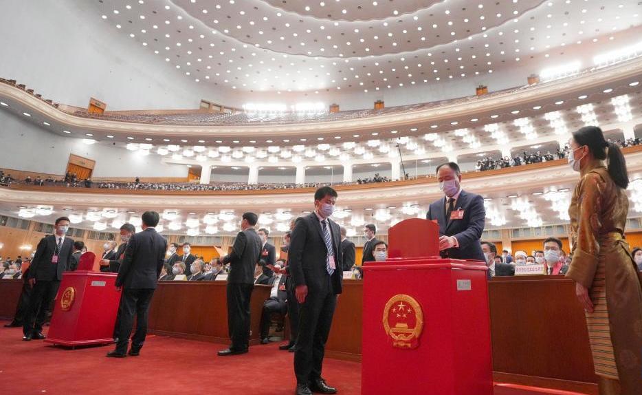 十四届全国人大一次会议第三次全体会议——代表投票