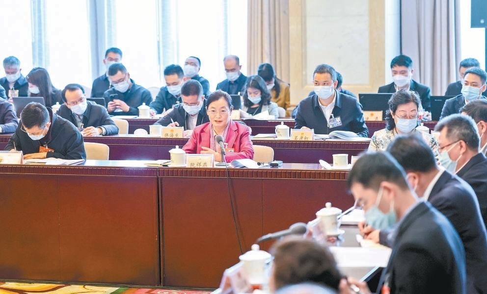 北京市代表团召开代表小组会议