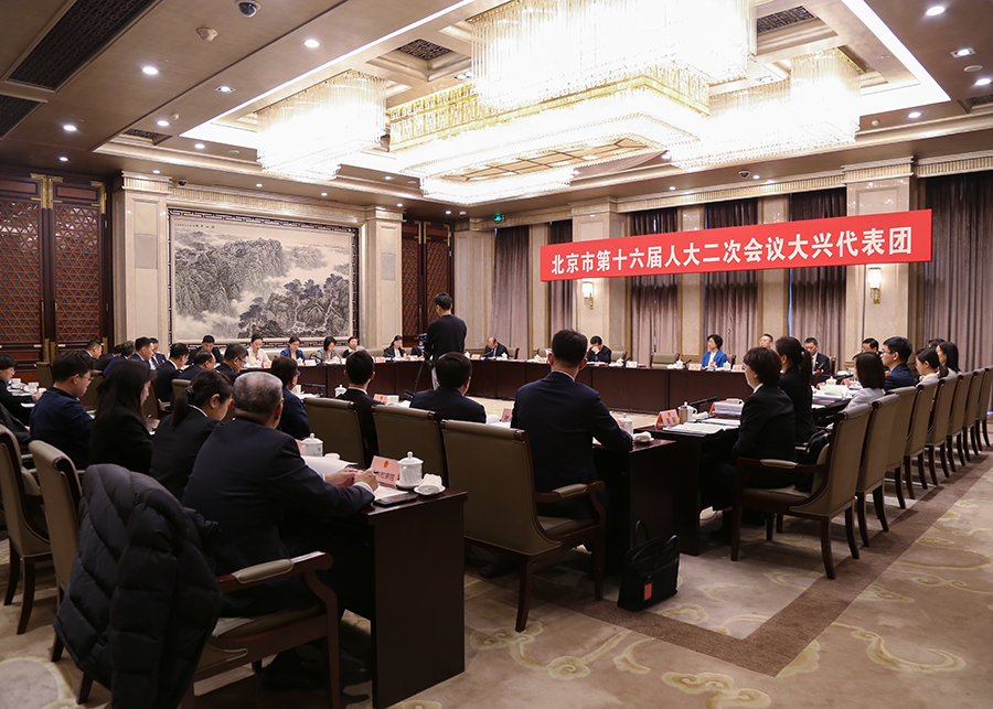 北京市第十六届人大二次会议大兴代表团举行全团会