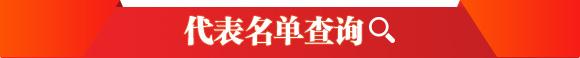 代表名单查询