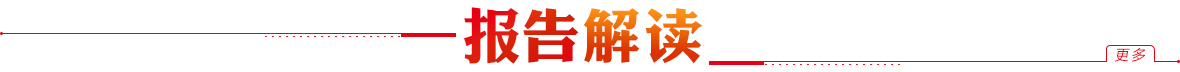 报告解读
