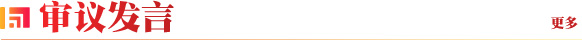 审议发言
