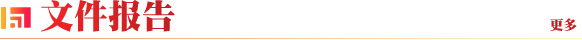 文件报告
