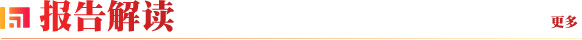 报告解读