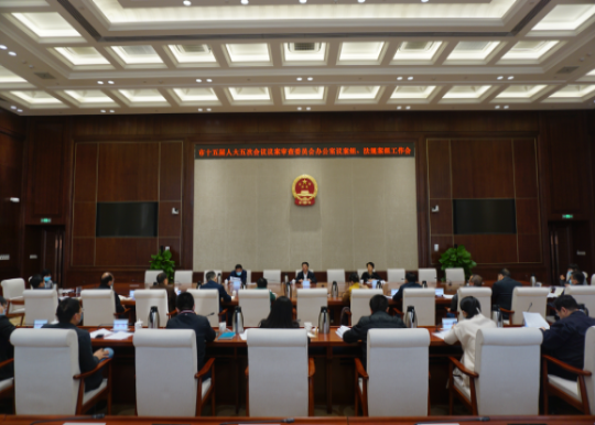 市十五届人大五次会议议案审查委员会议案组召开工作会