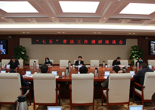 杜飞进副主任带队调研本市“七五”普法工作