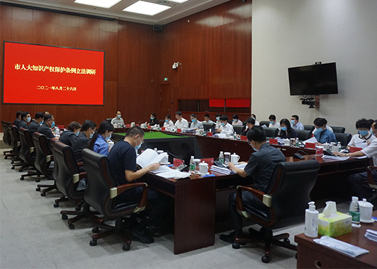 市人大常委会副主任杜飞进带队赴北京知识产权法院调研 市人大常委会副主任杜飞进带队赴北京知识产权法院调研