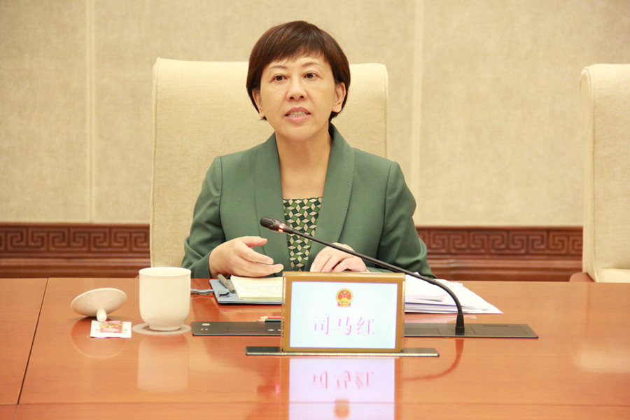 003张建东副主任、司马红副市长出席北京市外商投资立法领导小组第二次会议-02司马红.jpg