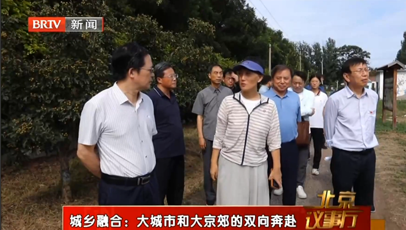 城乡融合：大城市和大京郊的双向奔赴