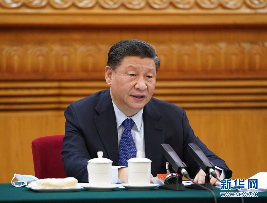 3月7日，中共中央总书记、国家主席、中央军委主席习近平参加十三届全国人大四次会议青海代表团的审议。