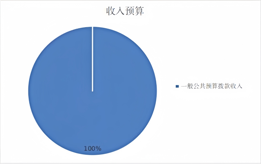 图1：收入预算.jpg