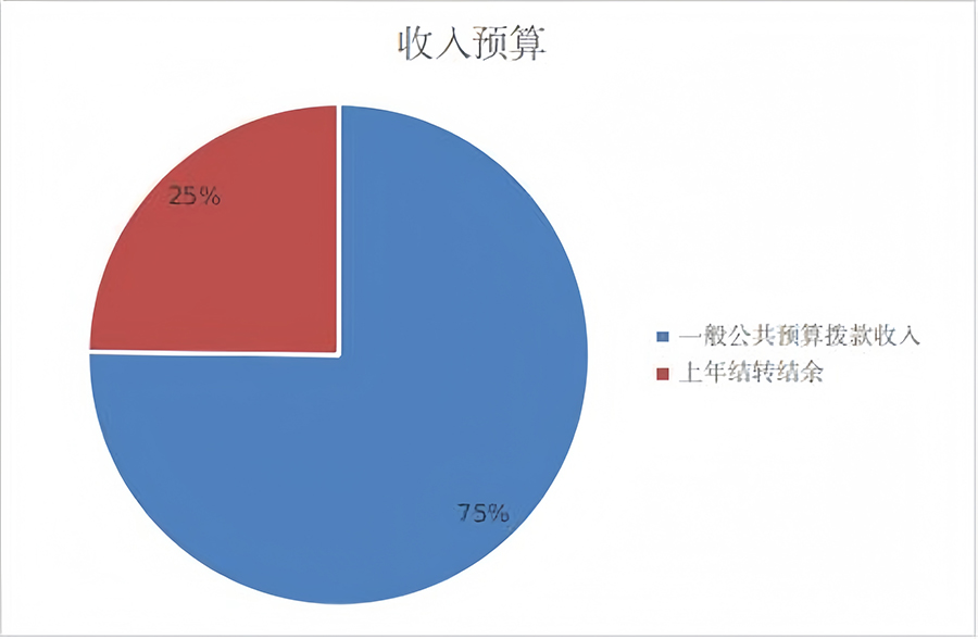 图1：收入预算.jpg