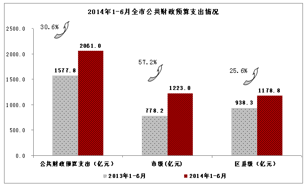 2014年1月-6月全市公共财政预算支出情况