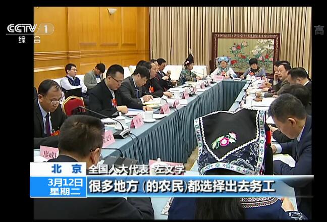聚焦两会·我从基层来 坚持农业农村优先发展