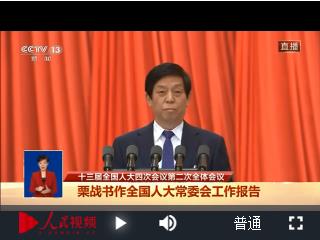 [直播回顾]十三届全国人大四次会议第二次全体会议