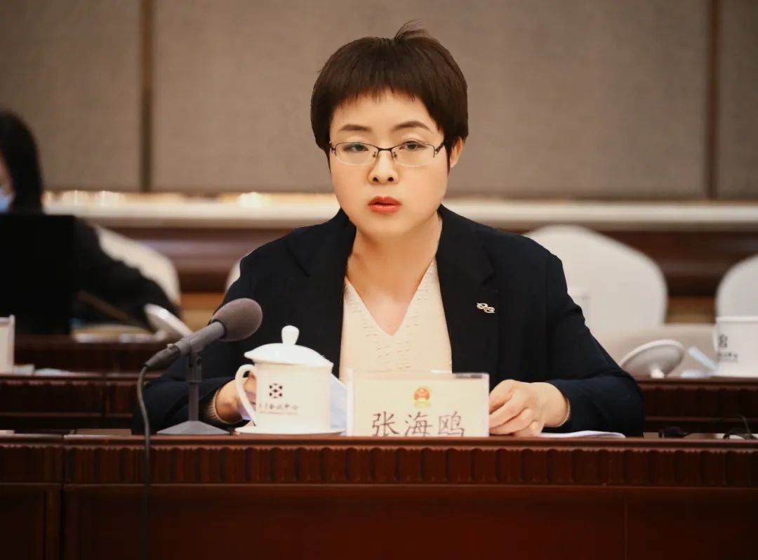张海鸥代表.jpg