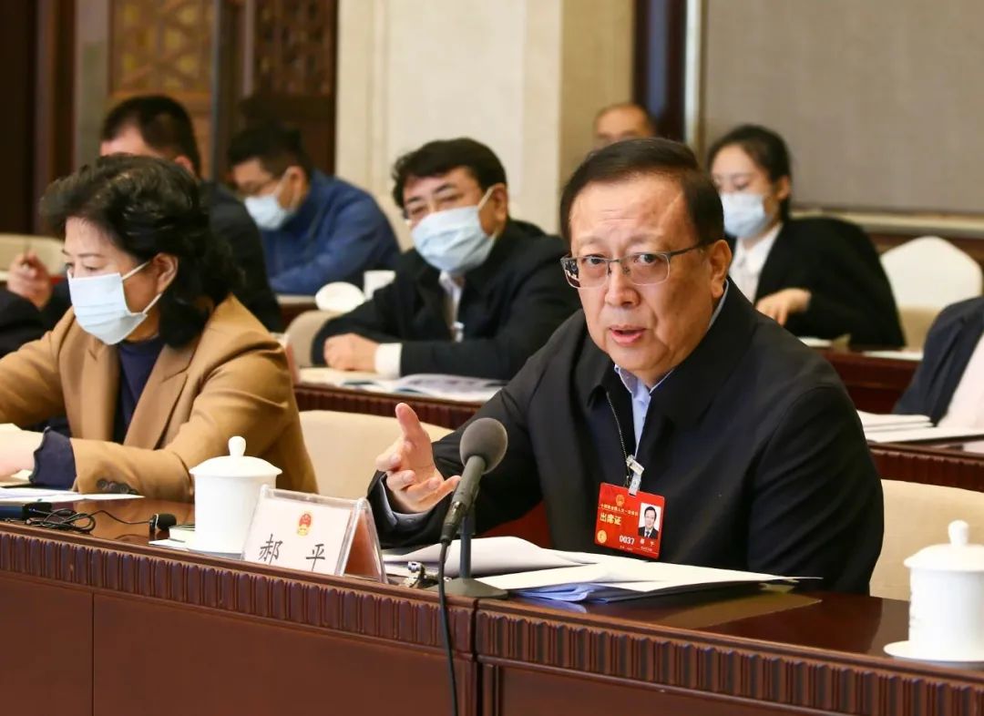 郝平代表：加强基础学科布局 服务科教兴国战略.jpg
