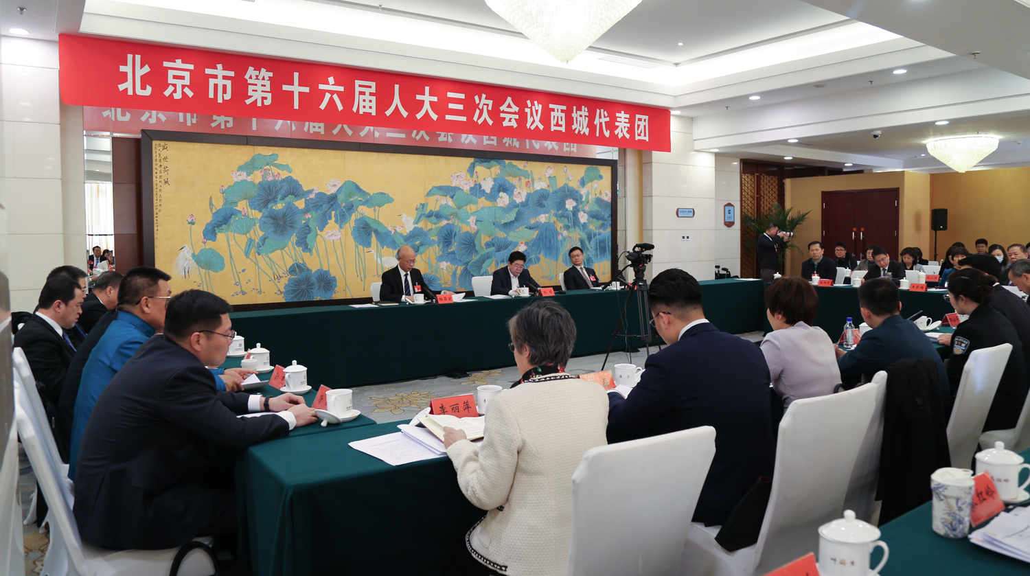 北京市第十六届人大三次会议西城代表团举行全团会