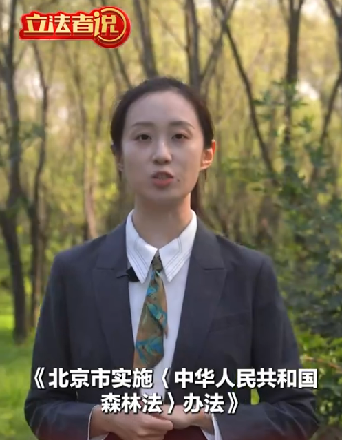 立法者说丨北京立新法，“让每一片森林都有人照料”