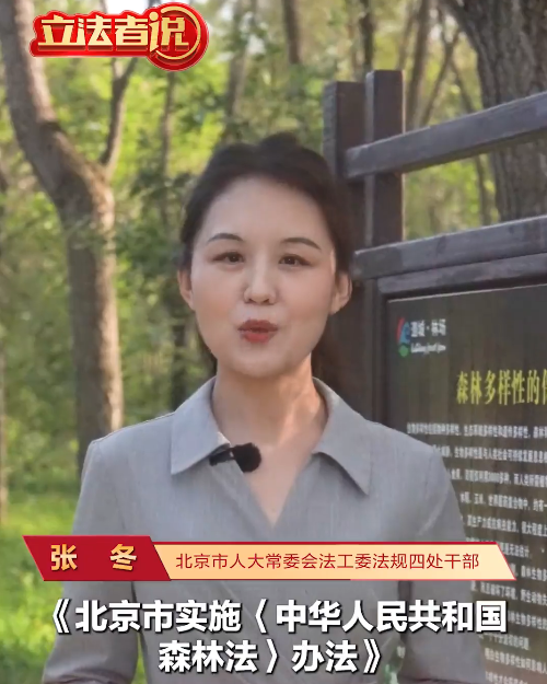 立法者说丨北京出台新规，加强致敏花粉、柳絮等治理防控