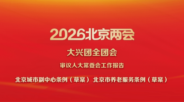 直播回顾丨大兴团审议人大常委会工作报告、审议《北京城市副中心条例（草案）》和《北京市养老服务条例（草案）》