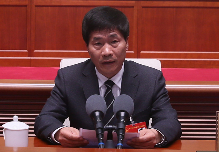 作关于个别代表的代表资格的报告