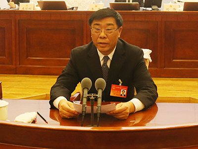 审议表决市十五届人大常委会代表资格审查委员会关于个别代表的代表资格的报告