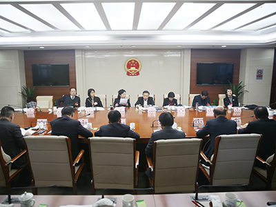 分组审议相关议题