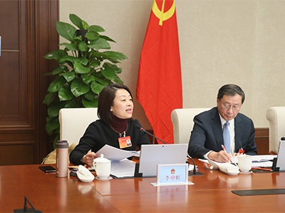 分组审议相关议题
