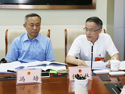 分组审议相关议题