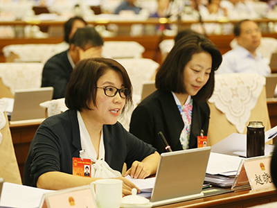 委员、代表发言