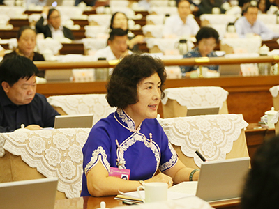 委员、代表发言