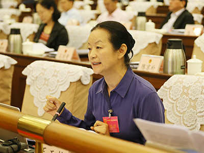 委员、代表发言