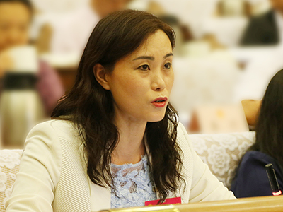 委员、代表发言