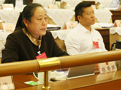 委员、代表发言
