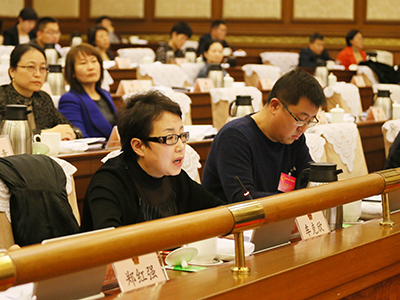 委员、代表发言