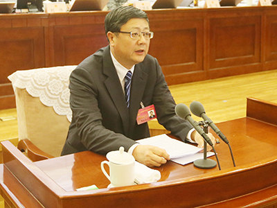 陈吉宁市长作说明