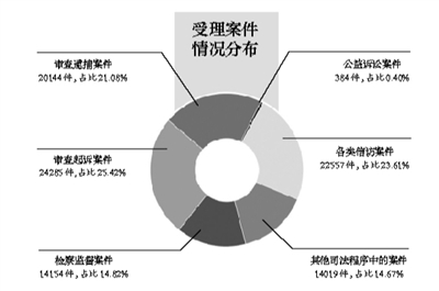受理案件情况分布
